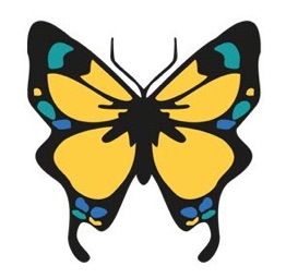 Lupus - Schmetterling